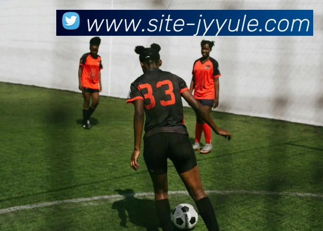 九游体育官网APP 封面图